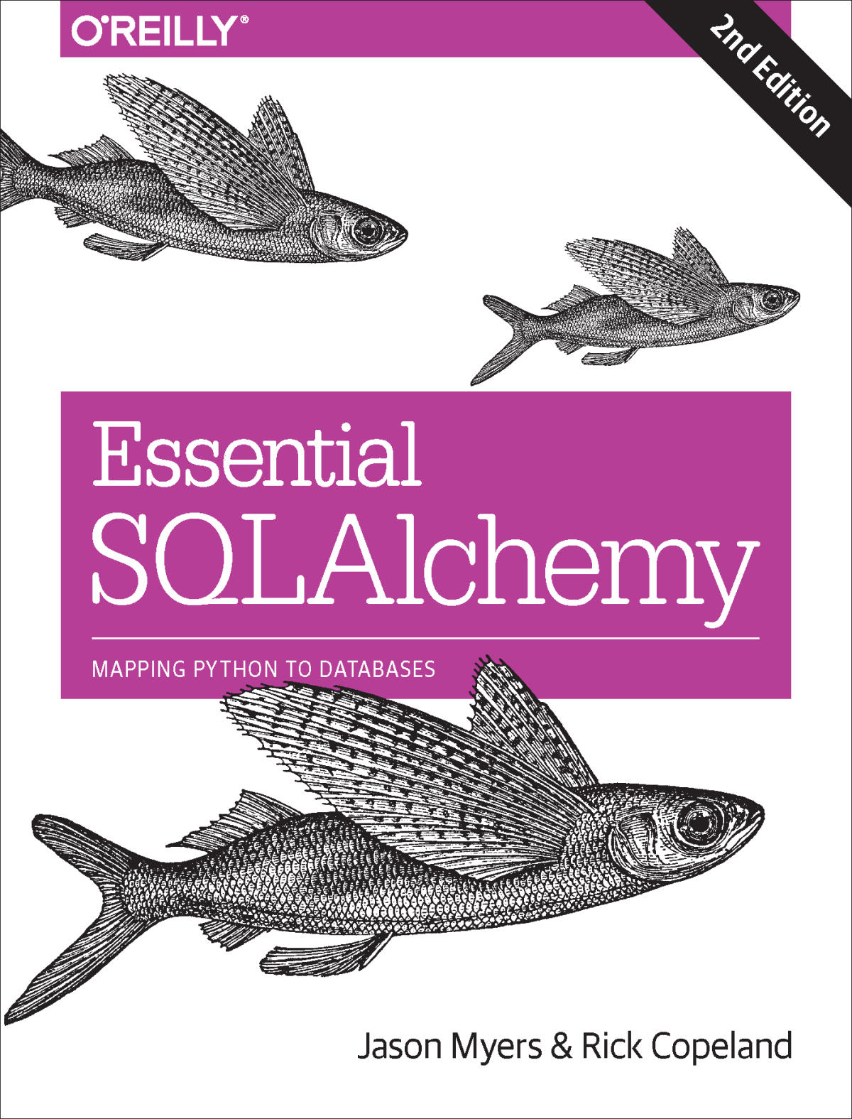 Essential Sqlalchemy Jason Myers And Rick Copeland