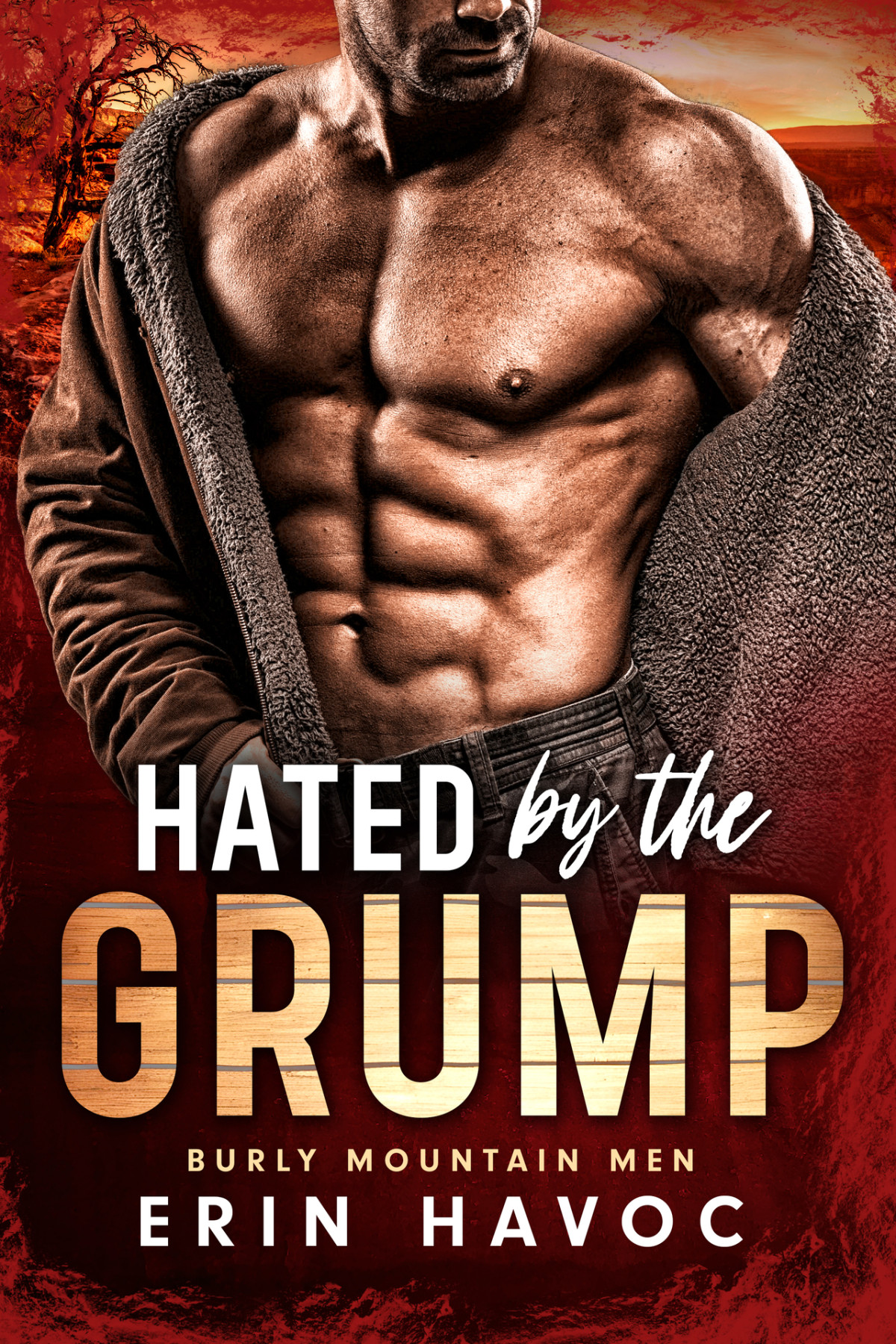 Hated By The Grump Burly Mountain Men Book 3 1st Edition Erin Havoc