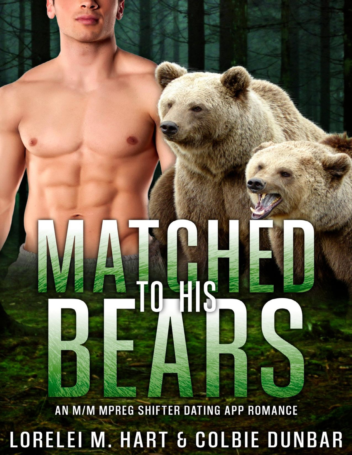 Matched To His Bears The Dates Of Our Lives Book 15 Mm Lorelei M Hart