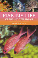 Marine Life Of The Mediterranean Lawson Wood