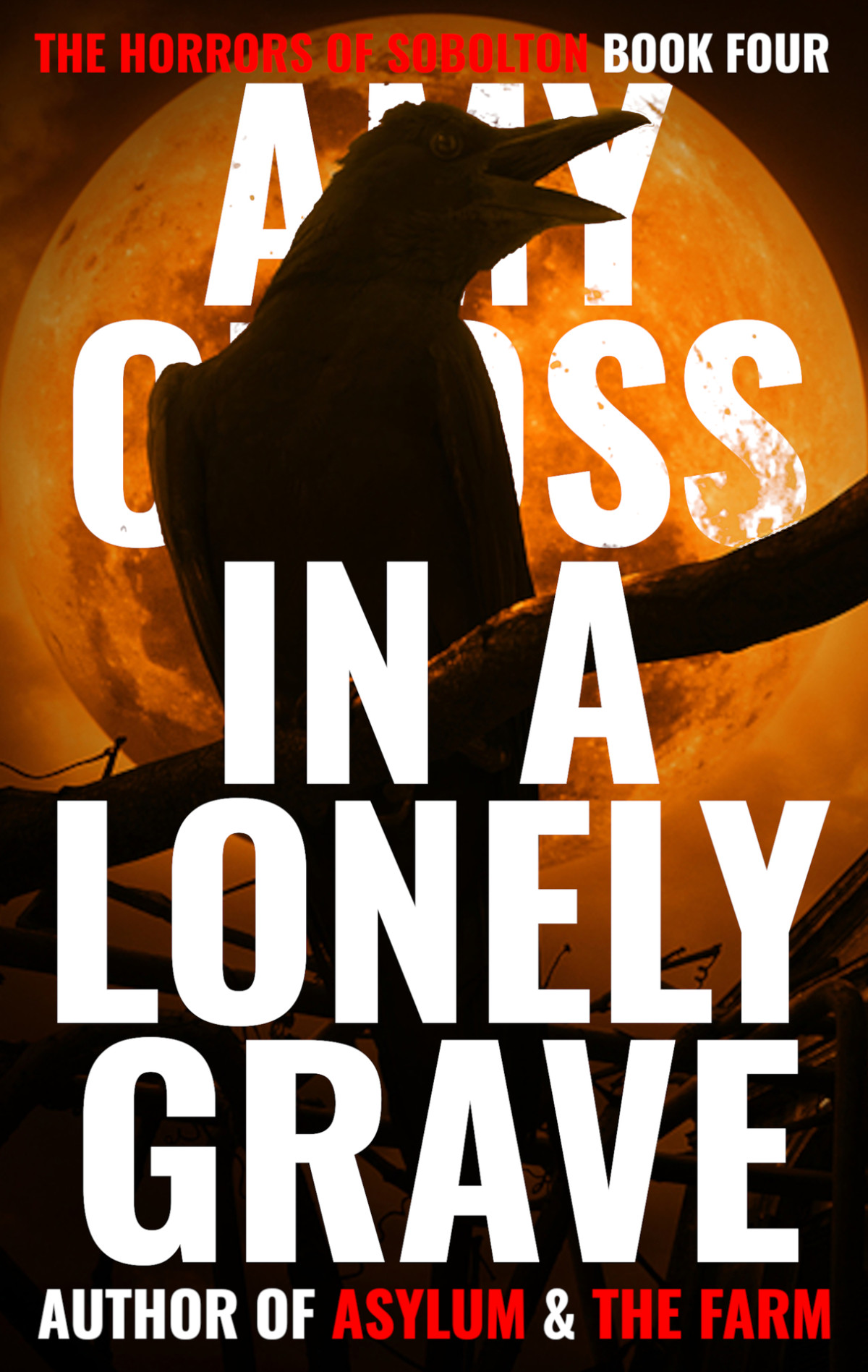 In A Lonely Grave The Horrors Of Sobolton Book 4 Amy Cross