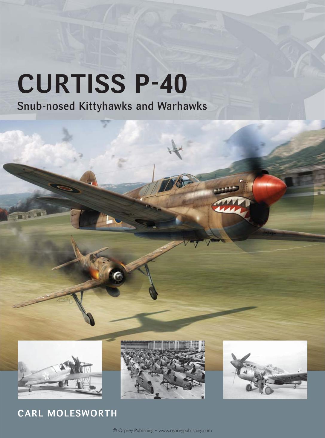 Curtiss P40 Snubnosed Kittyhawks And Warhawks 1st Edition Carl Molesworth