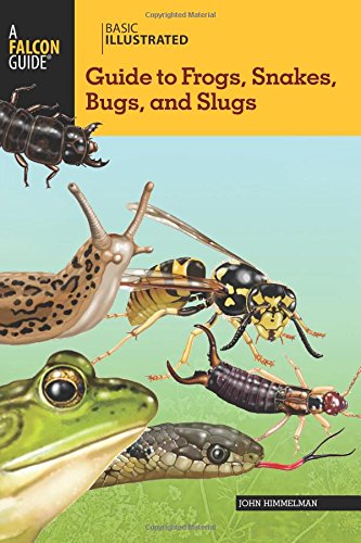 Basic Illustrated Guide To Frogs Snakes Bugs And Slugs Basic Illustrated Series First Edition Himmelman
