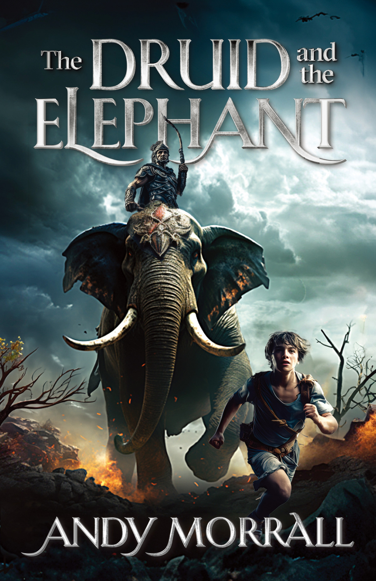 The Druid And The Elephant Morrall Andy