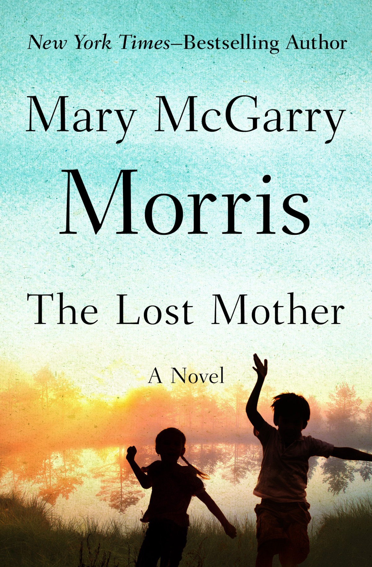 The Lost Mother Mary Mcgarry Morris