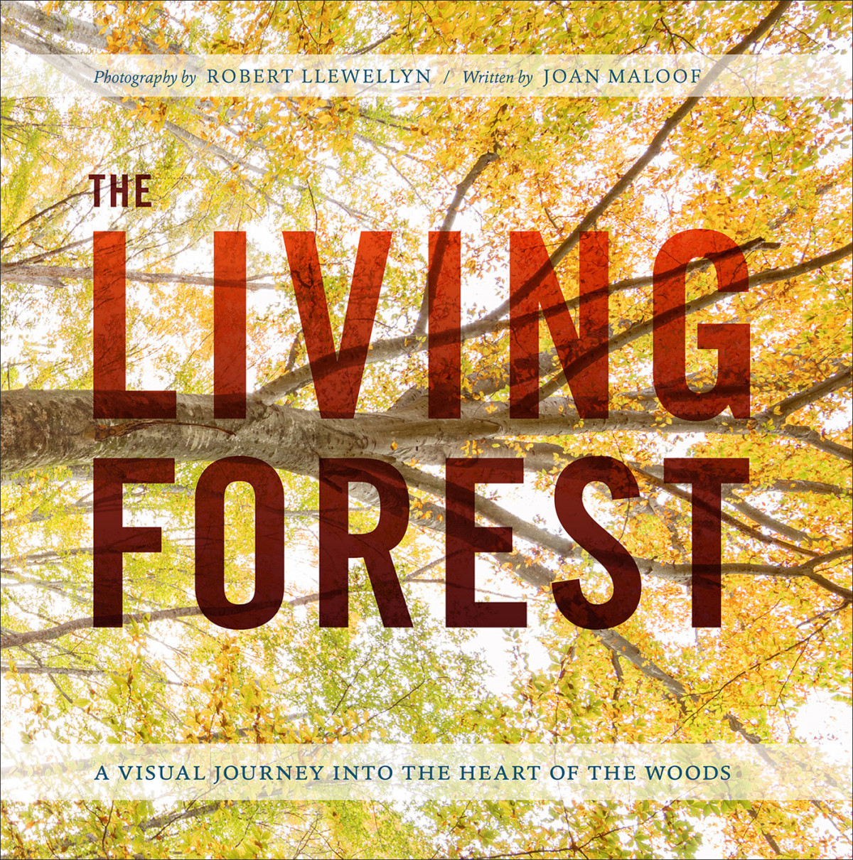 The Living Forest Robert Llewellyn