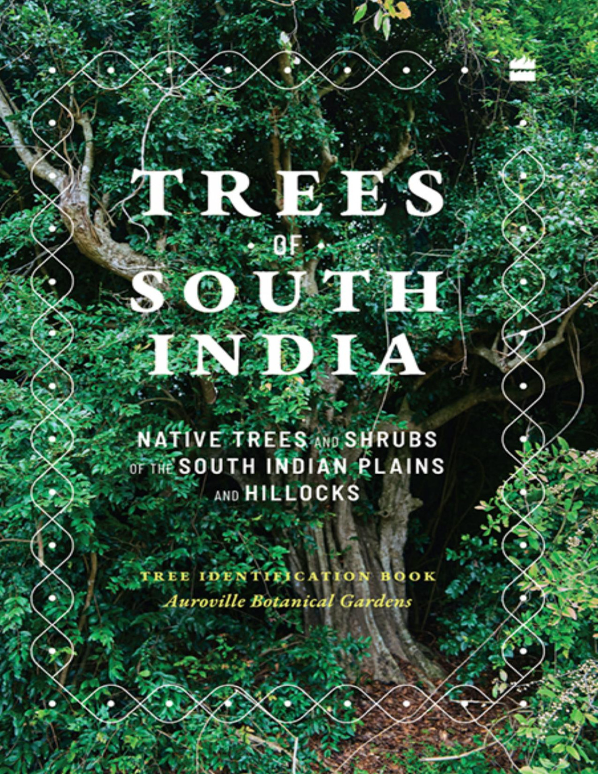 Trees Of South India Paul Blanchflower