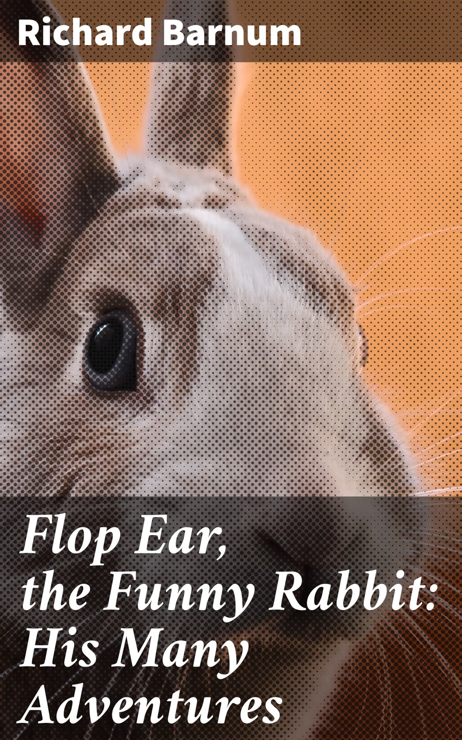 Flop Ear The Funny Rabbit Richard Barnum