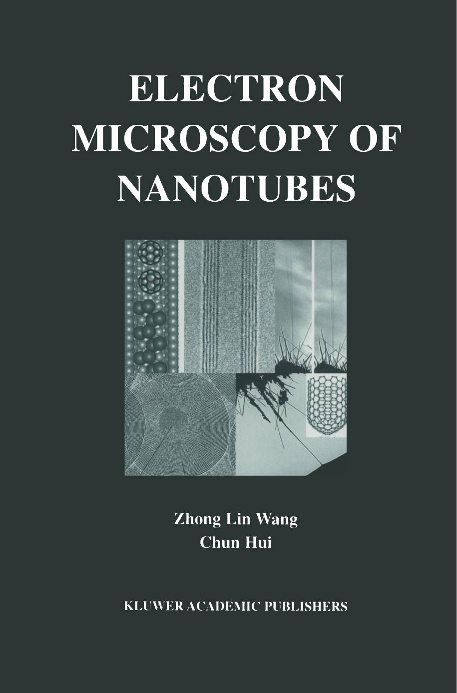 Electron Microscopy Of Nanotubes 2003 Zhong Lin Wang Chun Hui Eds