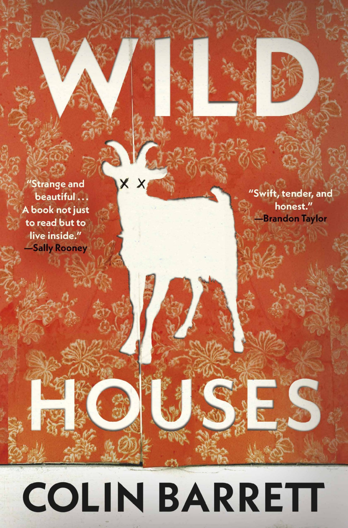Wild Houses Colin Barrett