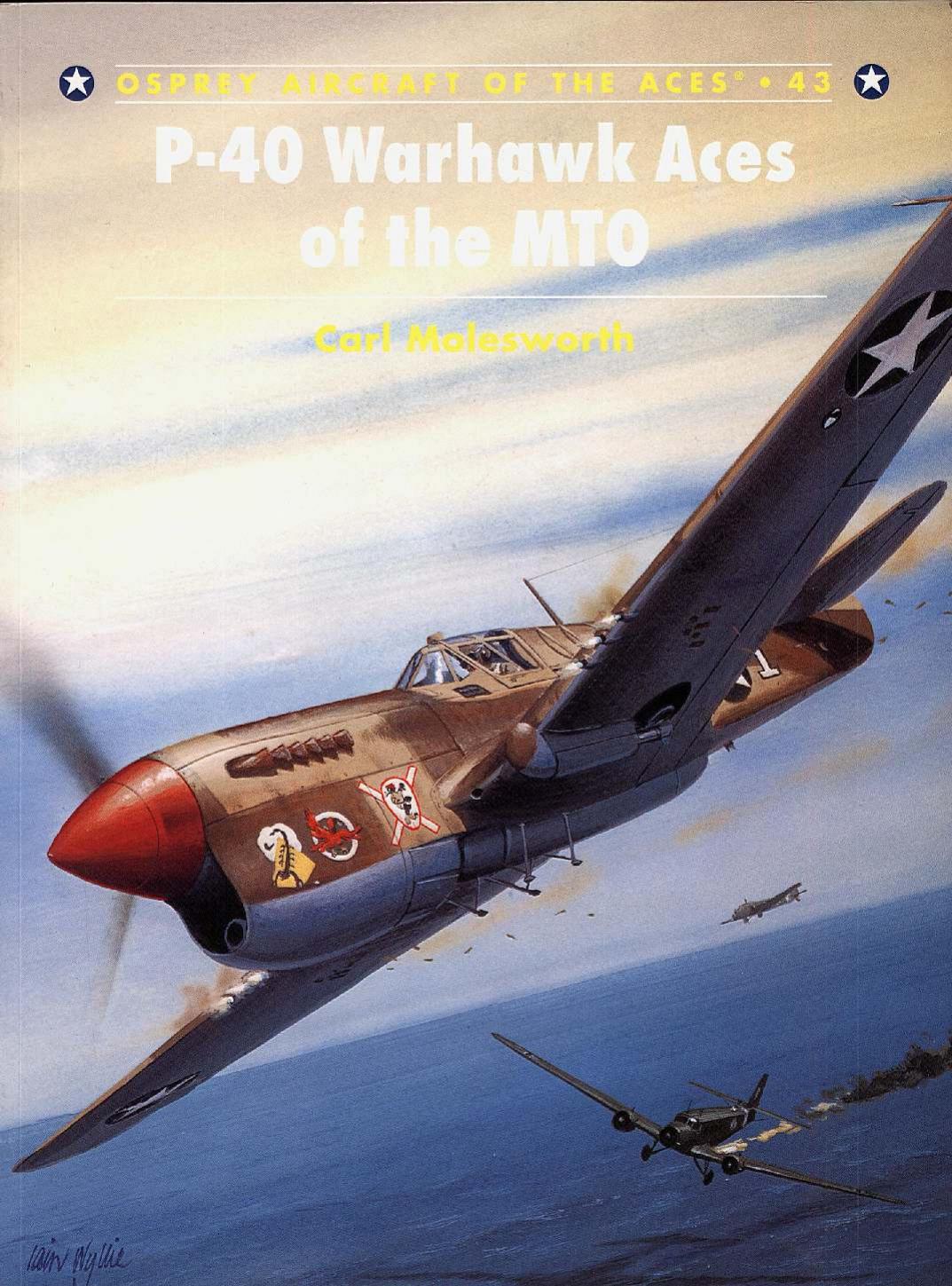 P40 Warhawk Aces Of The Mto 1st Edition Carl Molesworth