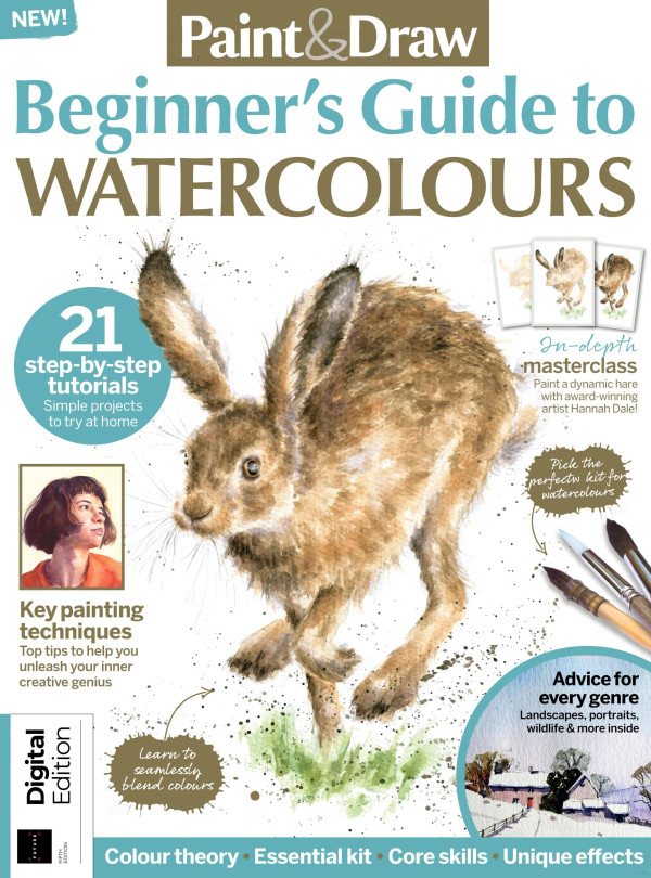 Paint Draw Beginners Guide To Water Colours 5th Philippa Grafton Editor