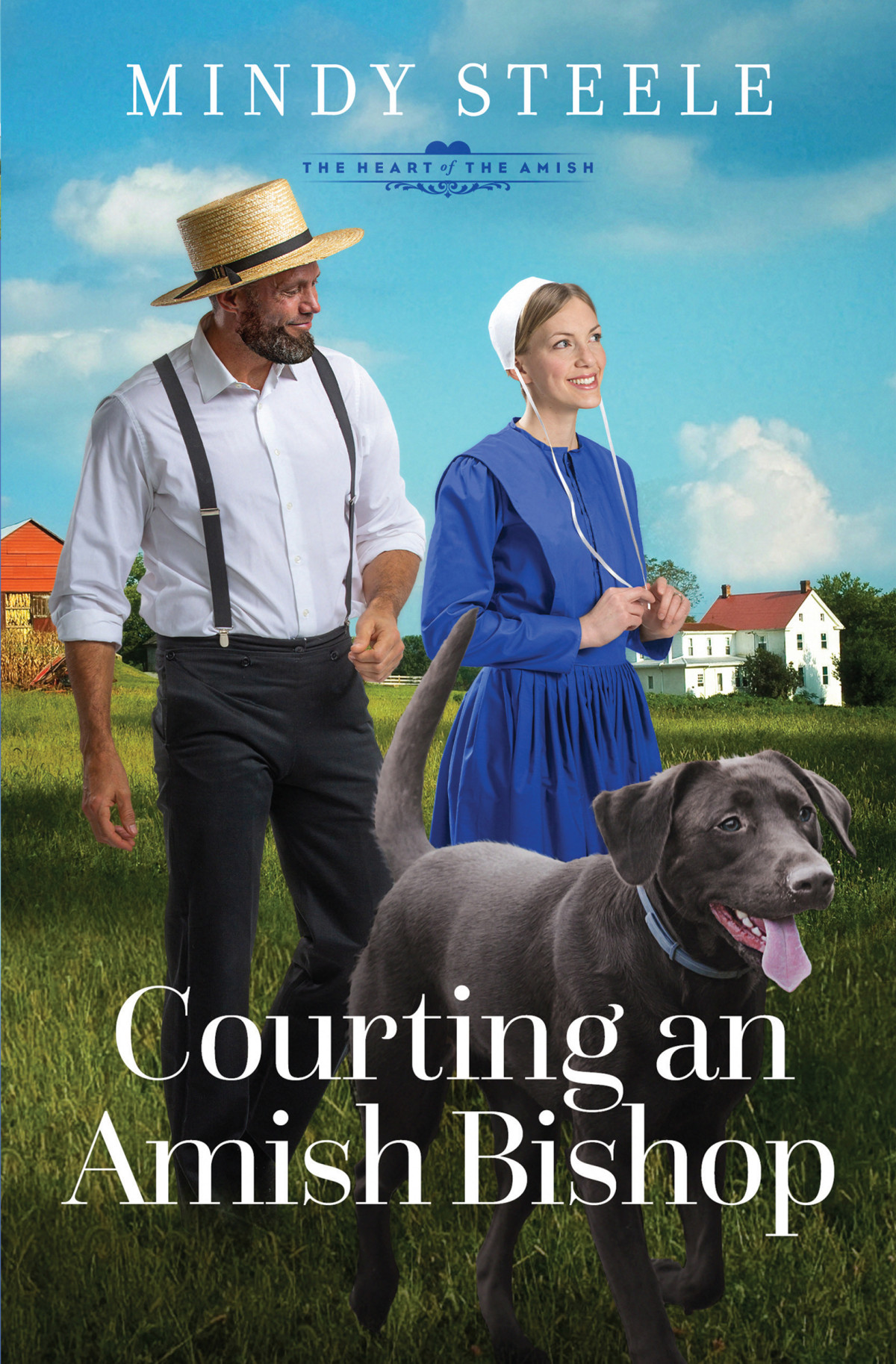 Courting An Amish Bishop Mindy Steele