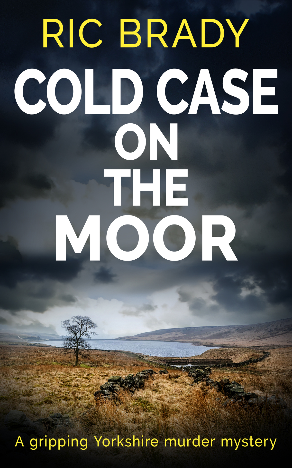 Cold Case On The Moor A Gripping Yorkshire Murder Mystery Ric Brady