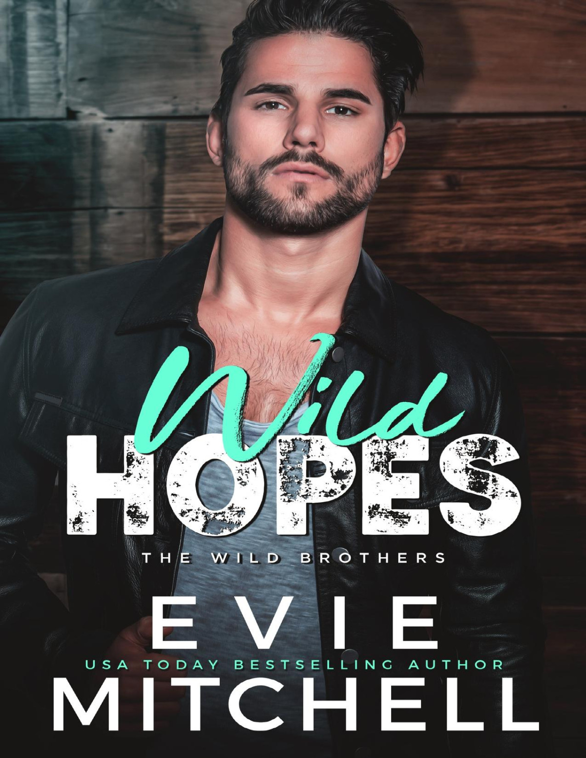 Wild Hopes A Smalltown Rockstar Romance Evie Mitchell