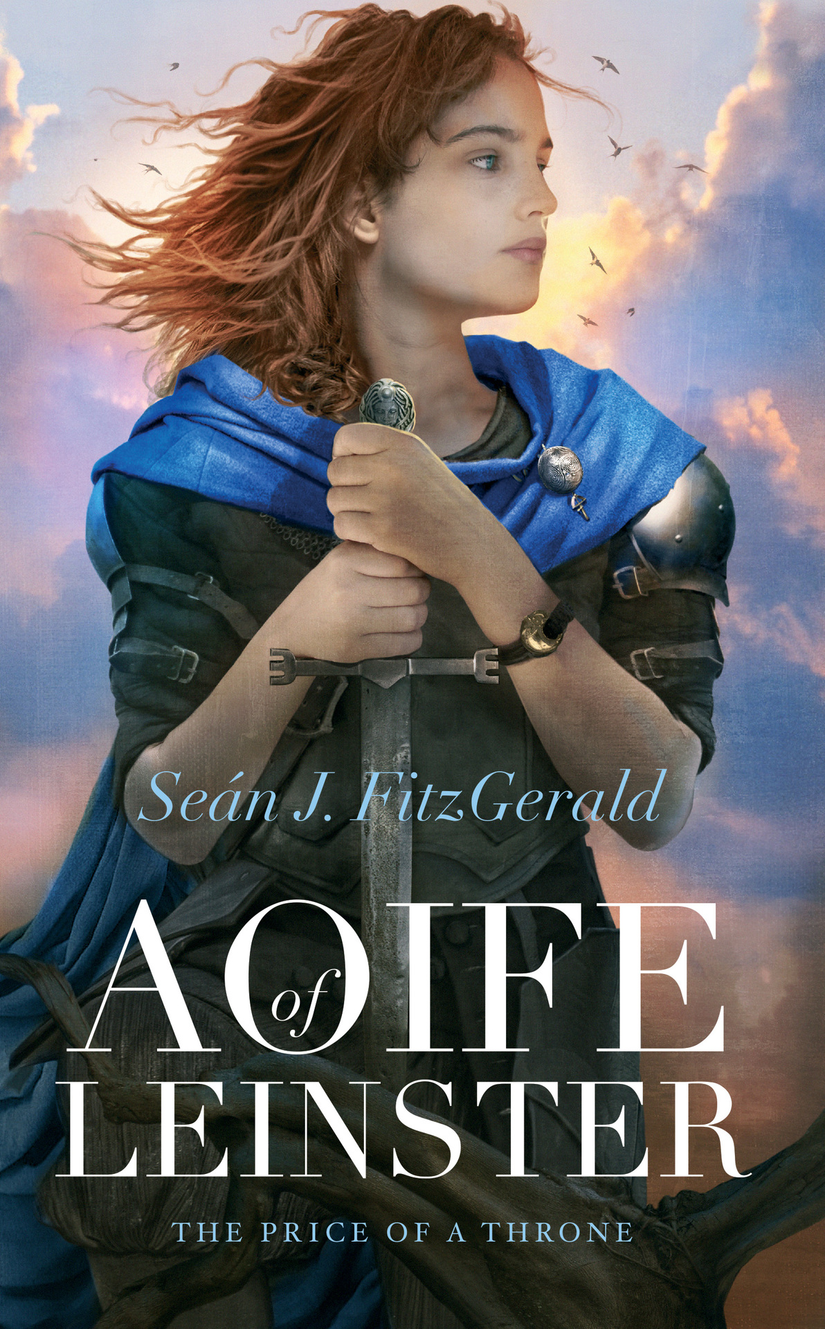 Aoife Of Leinster The Price Of A Throne The Hibernonorman Chronicles Book 1 Sean J Fitzgerald