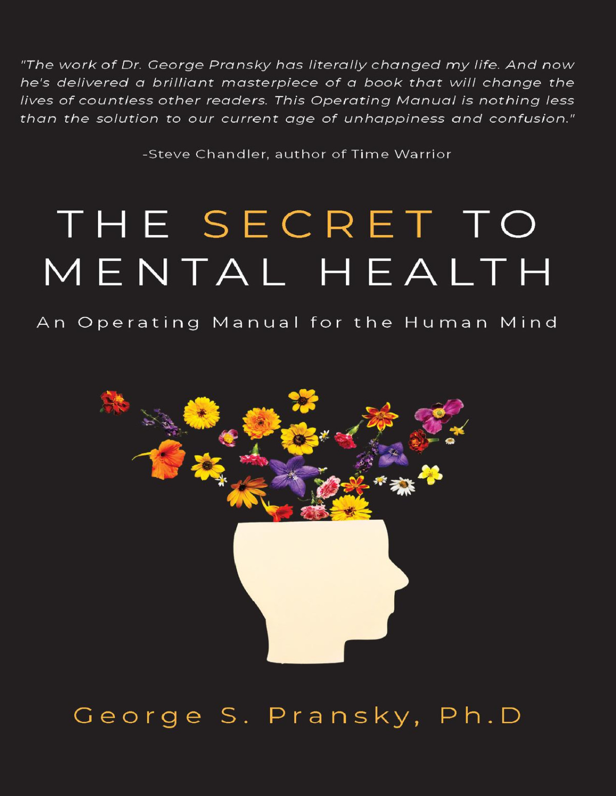 The Secret To Mental Health An Operating Manual For The Human Mind Pransky