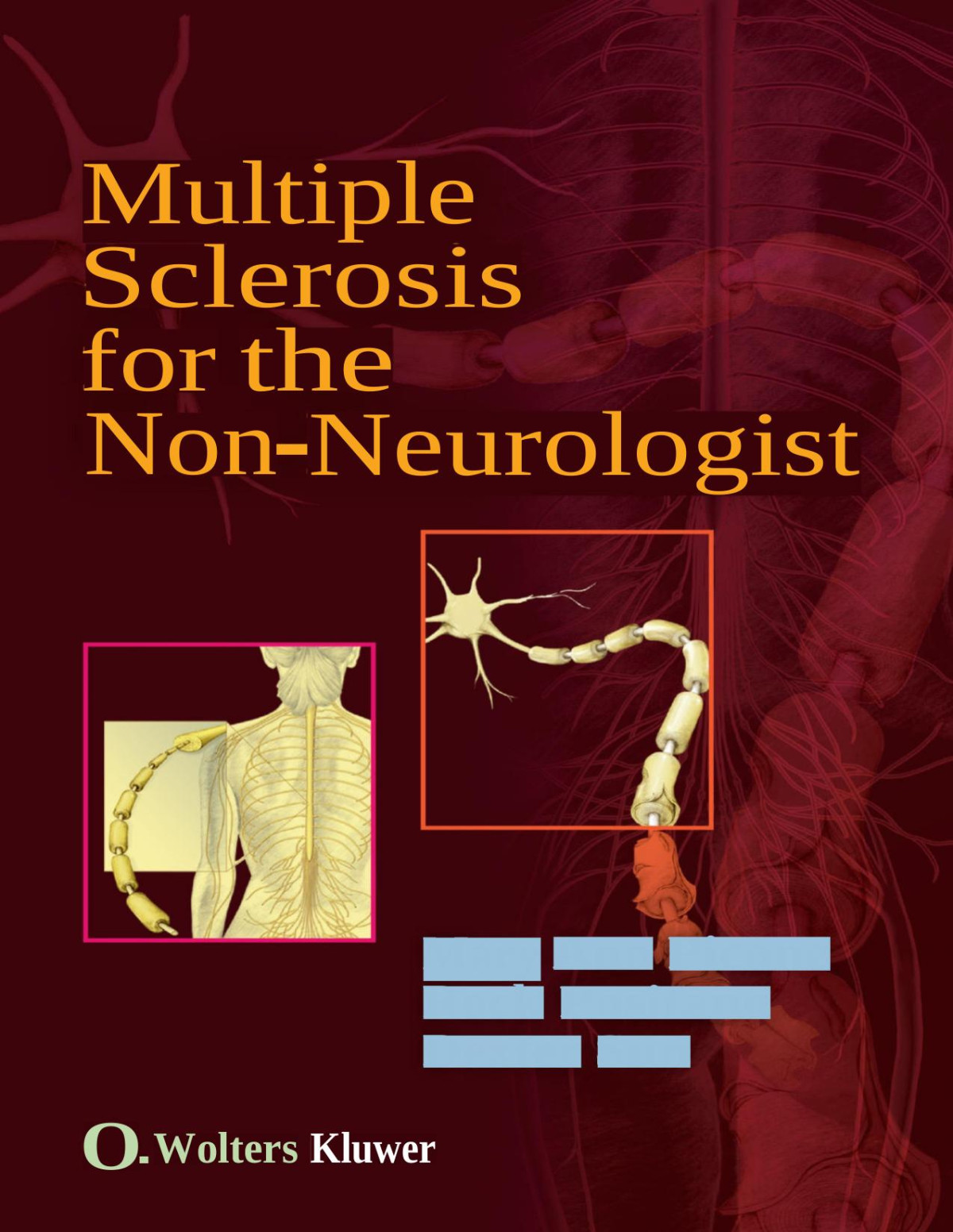 Multiple Sclerosis For The Nonneurologist Picone Mary Ann Britta Battaile