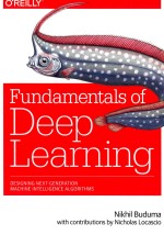 Fundamentals Of Deep Learning 1 Scanned Nikhil Buduma