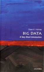 Big Data A Very Short Introduction Dawn E Holmes
