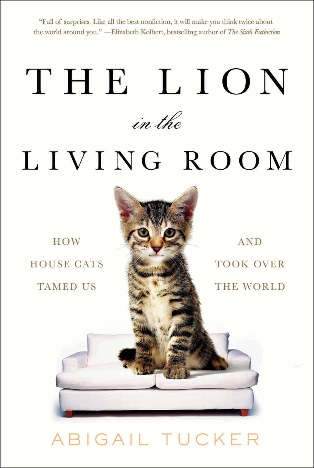 The Lion In The Living Room How House Cats Tamed Us And Took Over The World Abigail Tucker