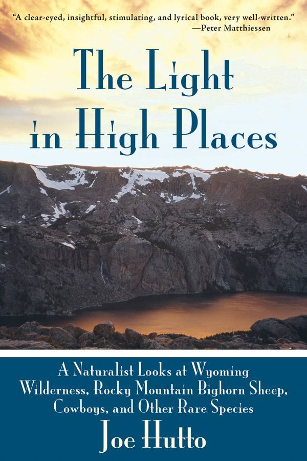 The Light In High Places Joe Hutto