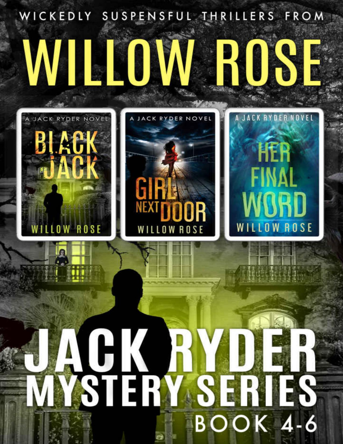 Jack Ryder Mystery Series Vol 46 Willow Rose