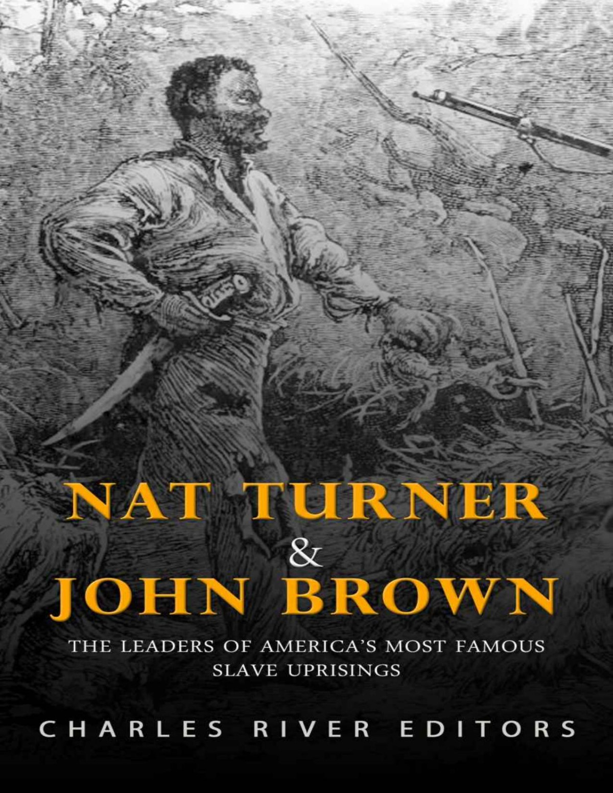 Nat Turner And John Brown Charles River