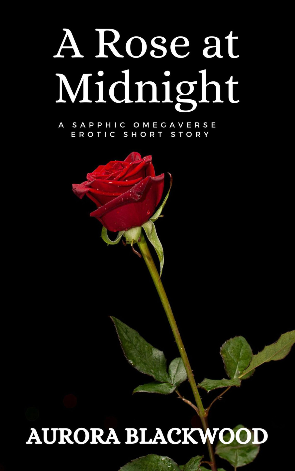 A Rose At Midnight 1st Edition Aurora Blackwood