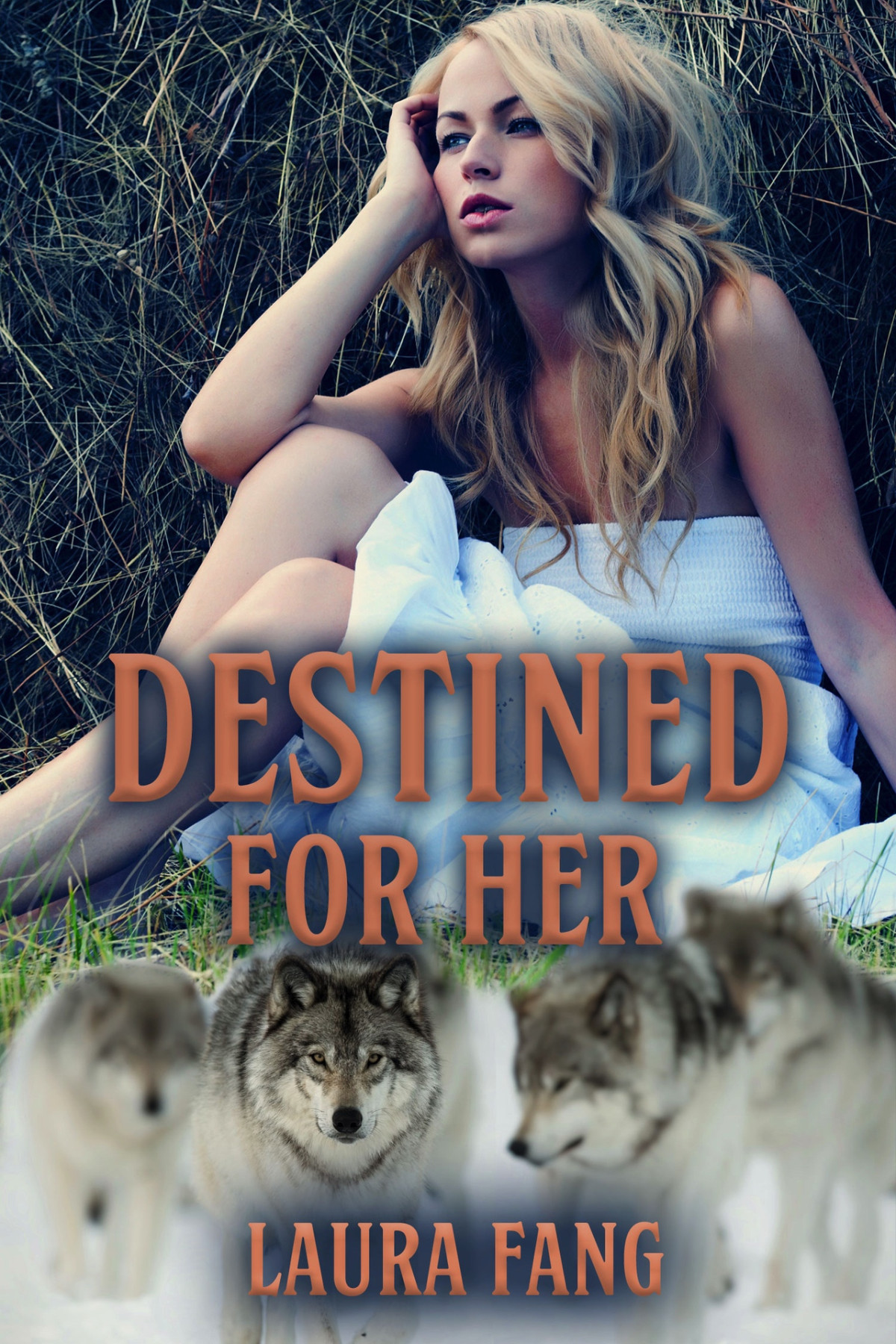 Destined For Her 1st Edition Laura Fang
