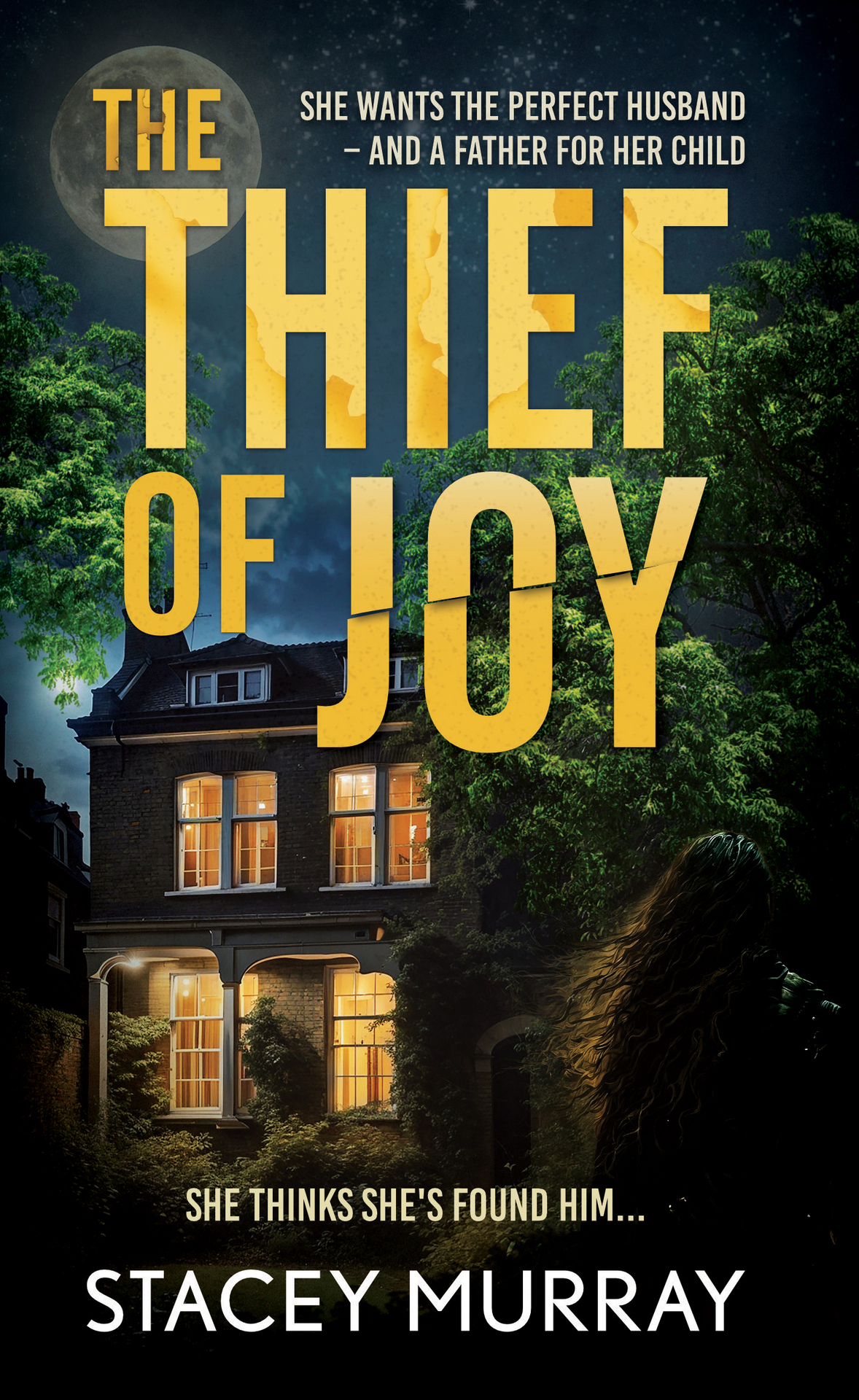 The Thief Of Joy A Dark And Twisty Suspense Novel About The Dangers Of Comparing Yourself To Others Stacey Murray