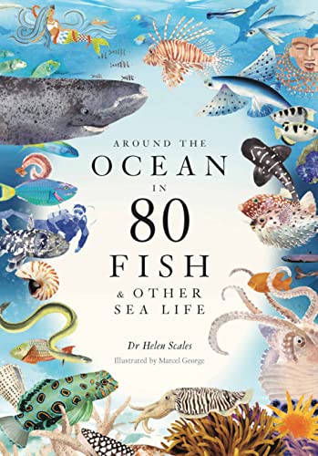 Around The Ocean In 80 Fish And Other Sea Life Scales Helen