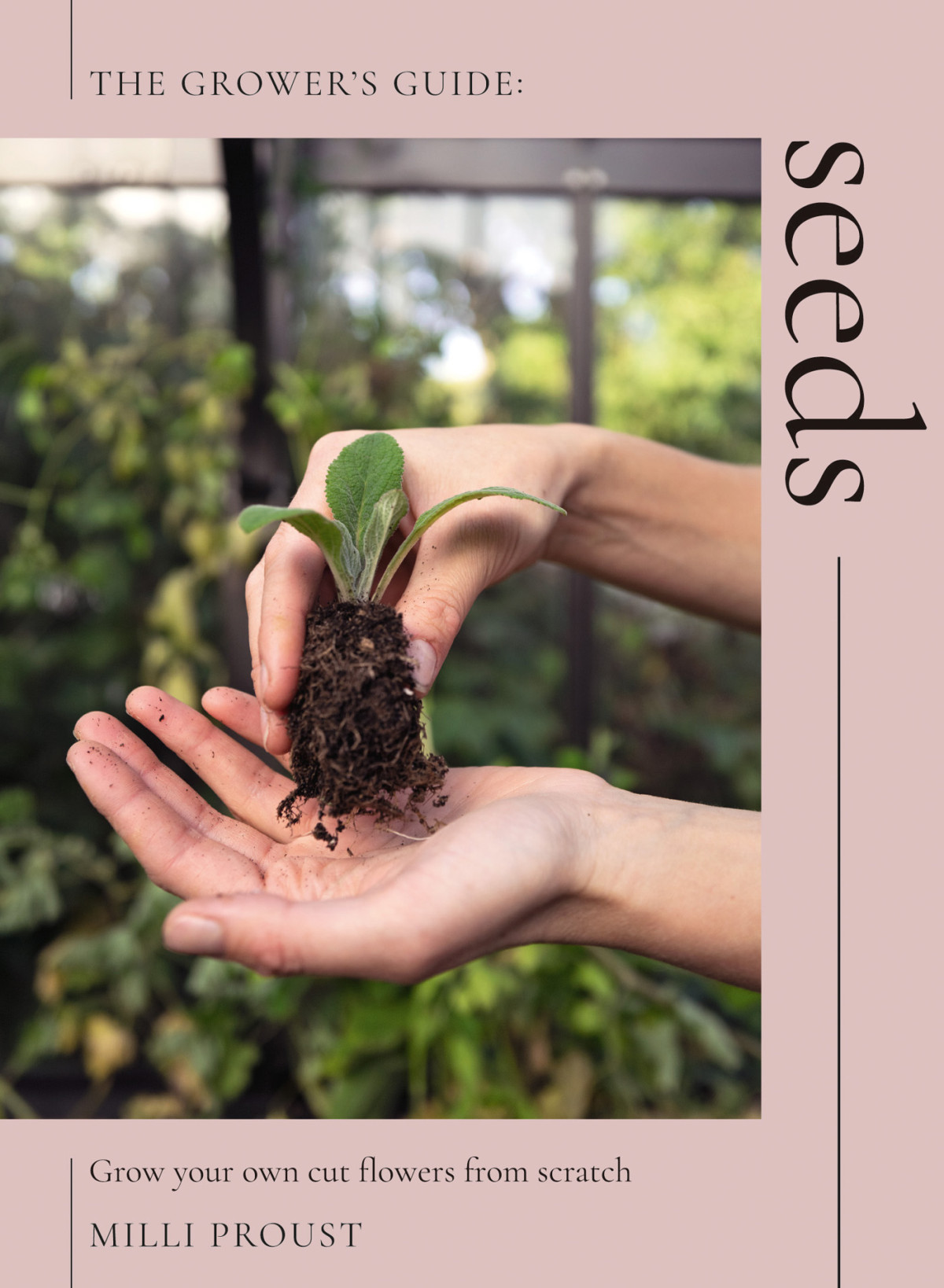 The Growers Guide Seeds Grow Your Own Cut Flowers From Scratch Milli Proust