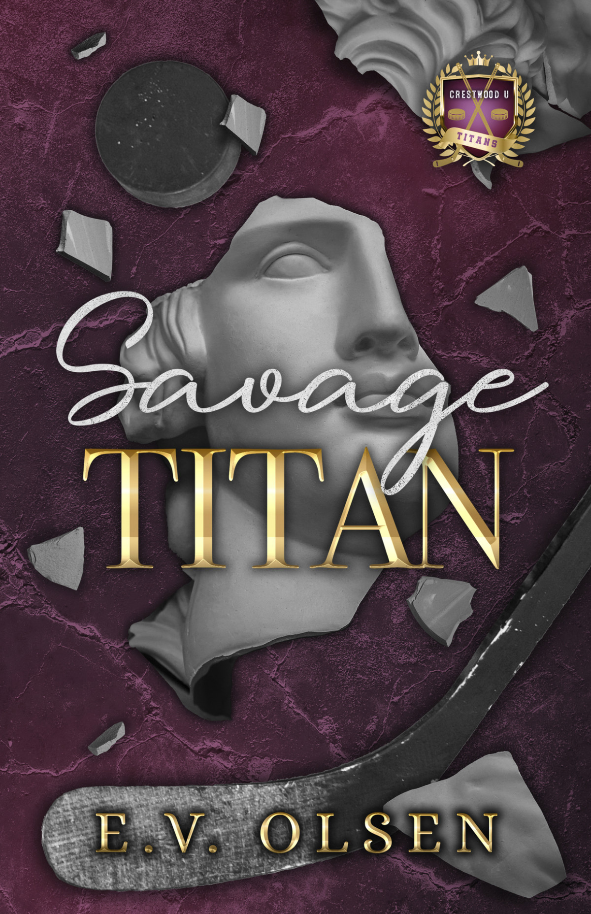 Savage Titan An Mm College Hockey Bully Romance North Shore Titans Hockey Book 1 Ev Olsen