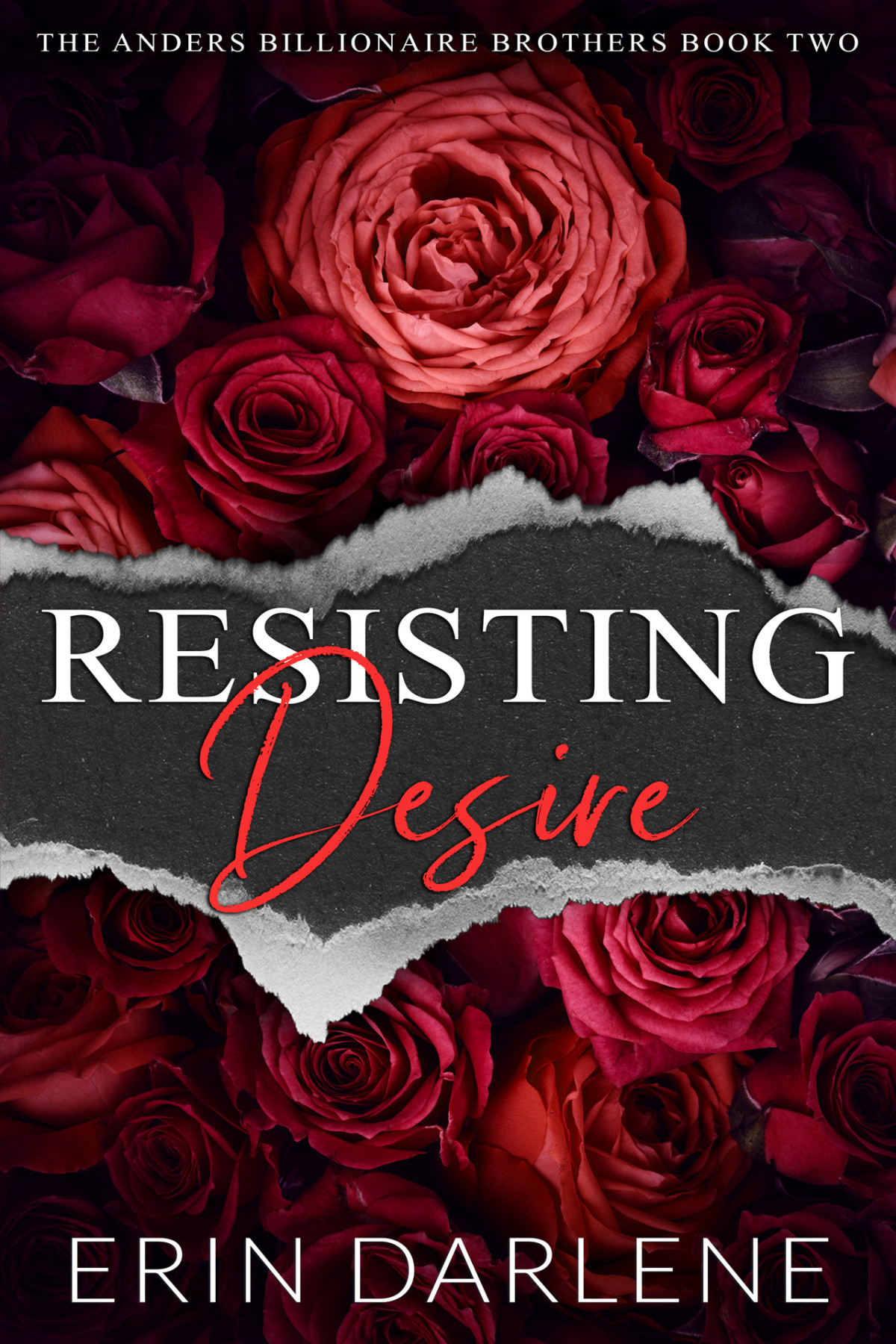 Resisting Desire A Billionaire Romantic Suspense The Anders Billionaire Brothers Erin Darlene