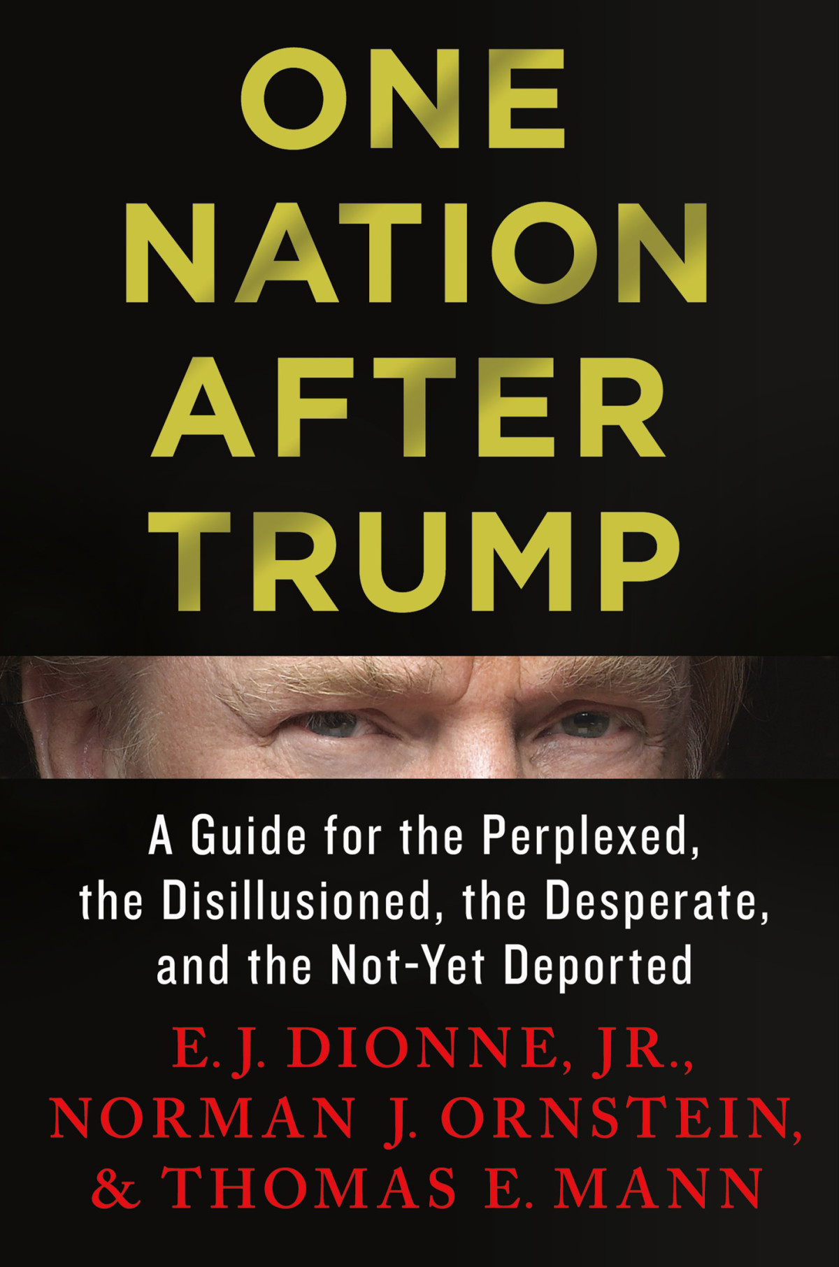 One Nation After Trump Jr Ej Dionne