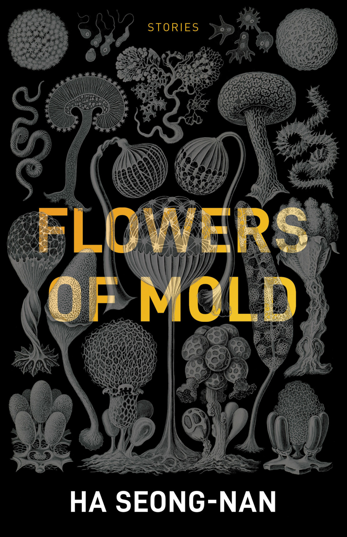 Flowers Of Mold Other Stories Ha Seongnan
