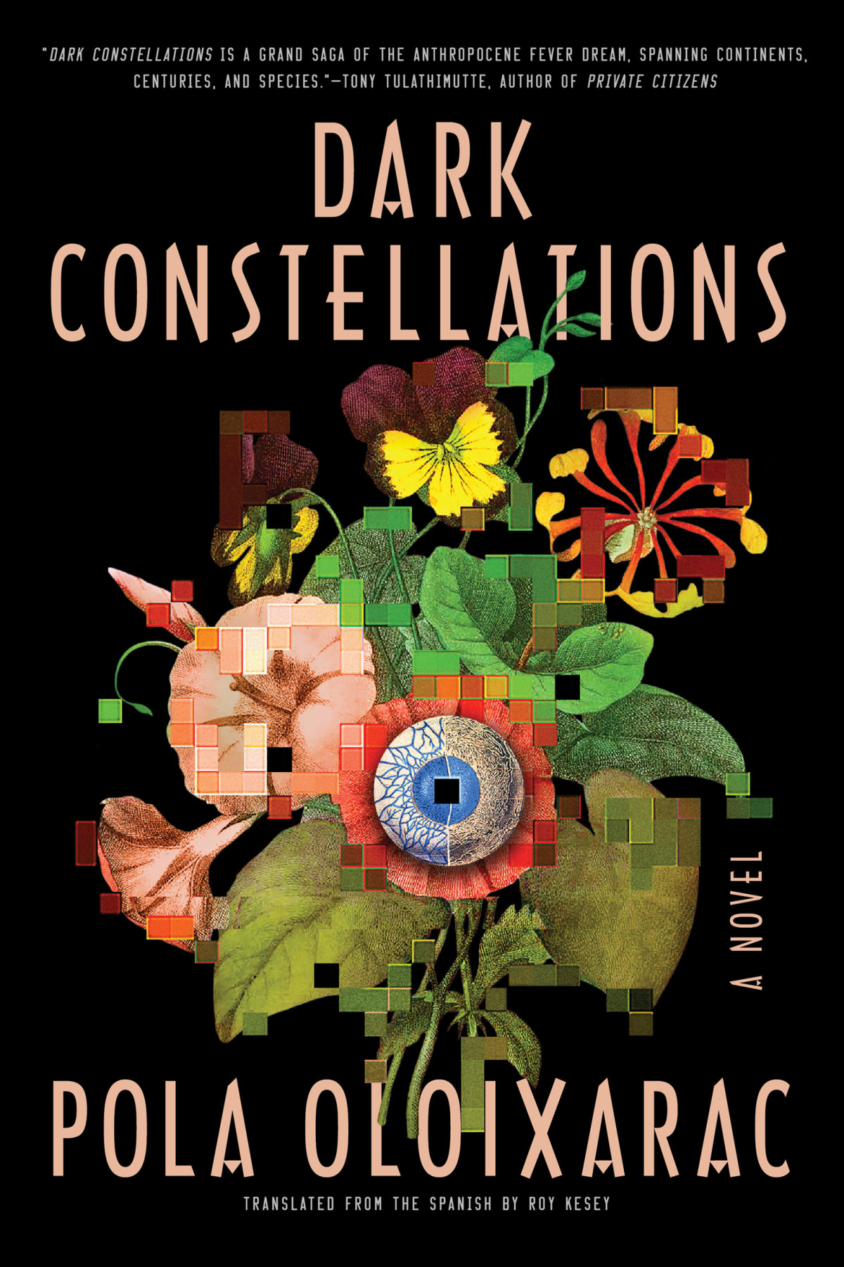 Dark Constellations 1st Edition Pola Oloixarac