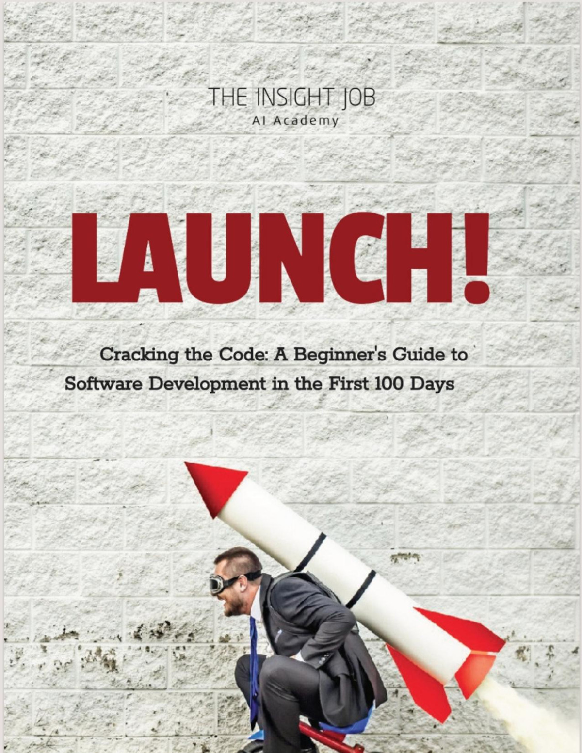 Cracking The Code A Beginners Guide To Software Development In The First 100 Days Ai Academy