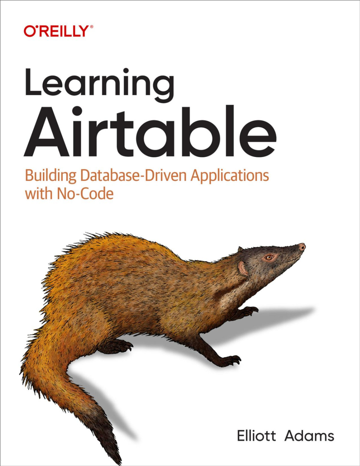 Learning Airtable Elliott Adams