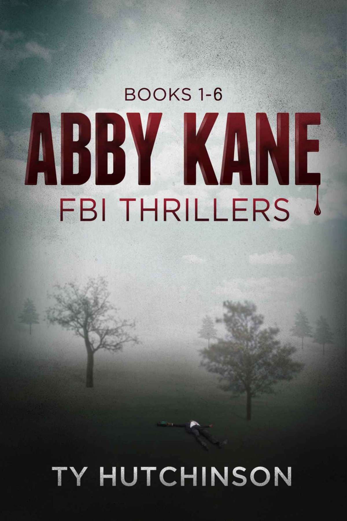 Abby Kane Fbi Thrillers 16 Ty Hutchinson