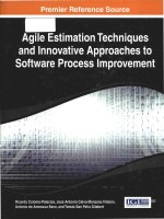 Agile Estimation Techniques And Innovative Approaches To Software Process Improvement Ricardo Colomopalacios Jose Antonio Calvomanzano Villaln Antonio De Amescua Seco Toms San Feliu Gilabert