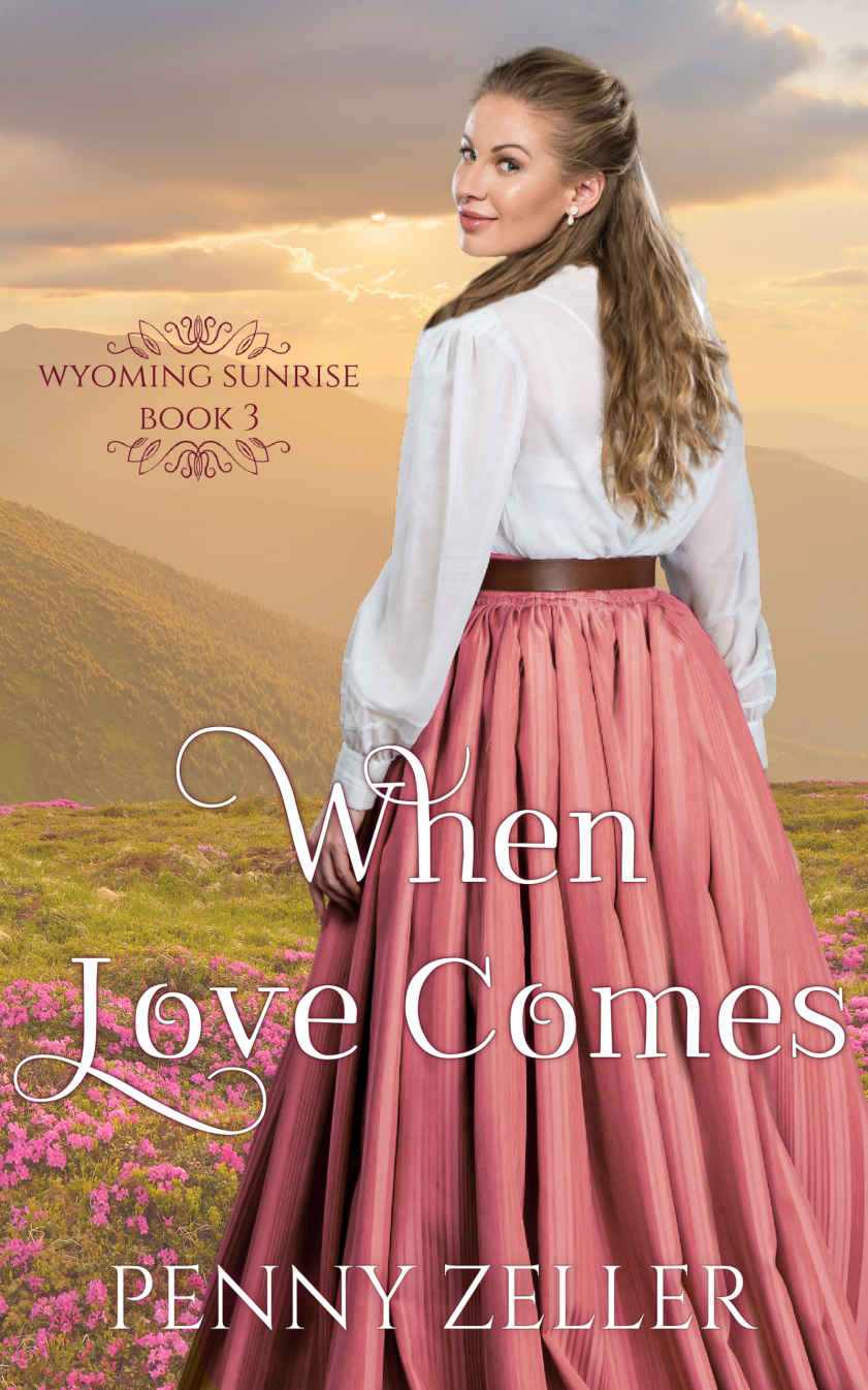 When Love Comes Paperback Zeller Penny