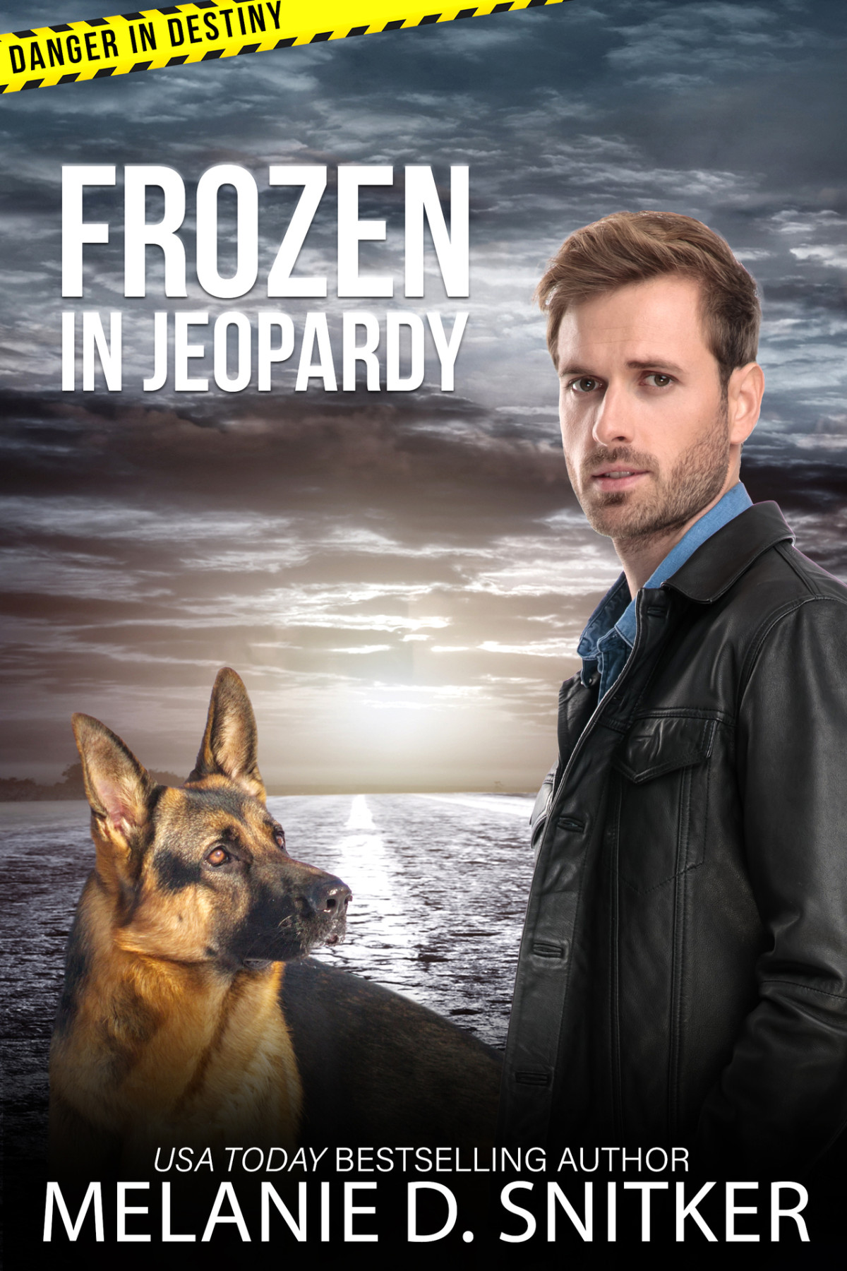 Frozen In Jeopardy Danger In Destiny Romantic Suspense 02 Melanie D Snitker