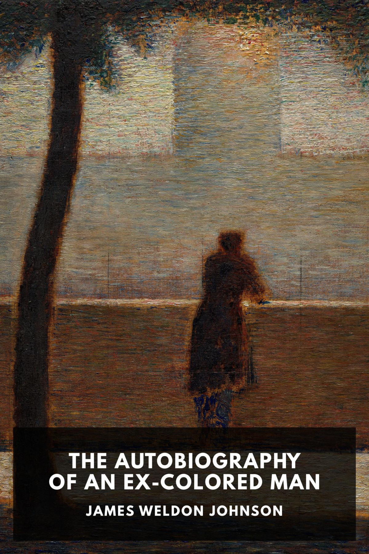 The Autobiography Of An Excolored Man James Weldon Johnson