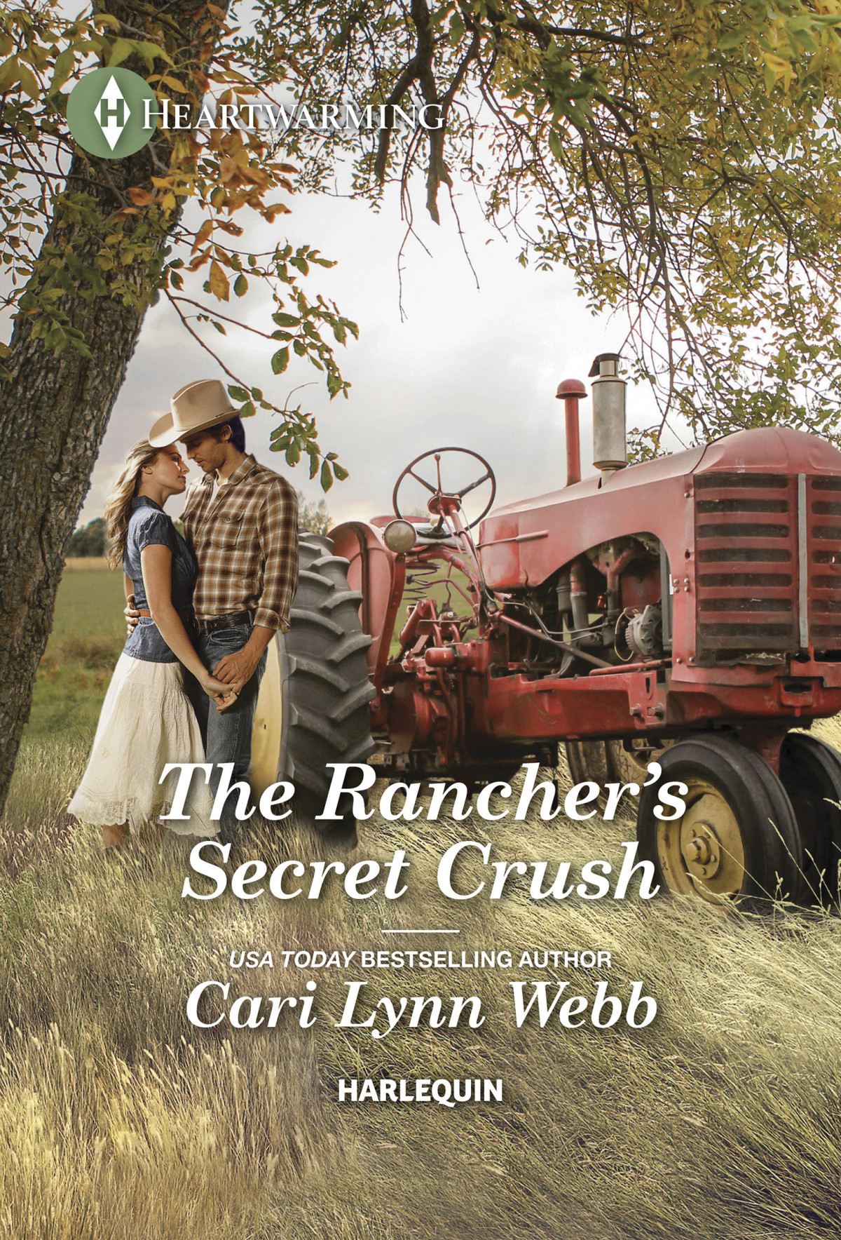 The Ranchers Secret Crush Cari Lynn Webb
