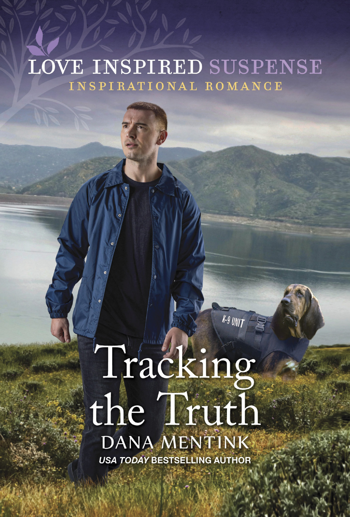 Tracking The Truth Dana Mentink