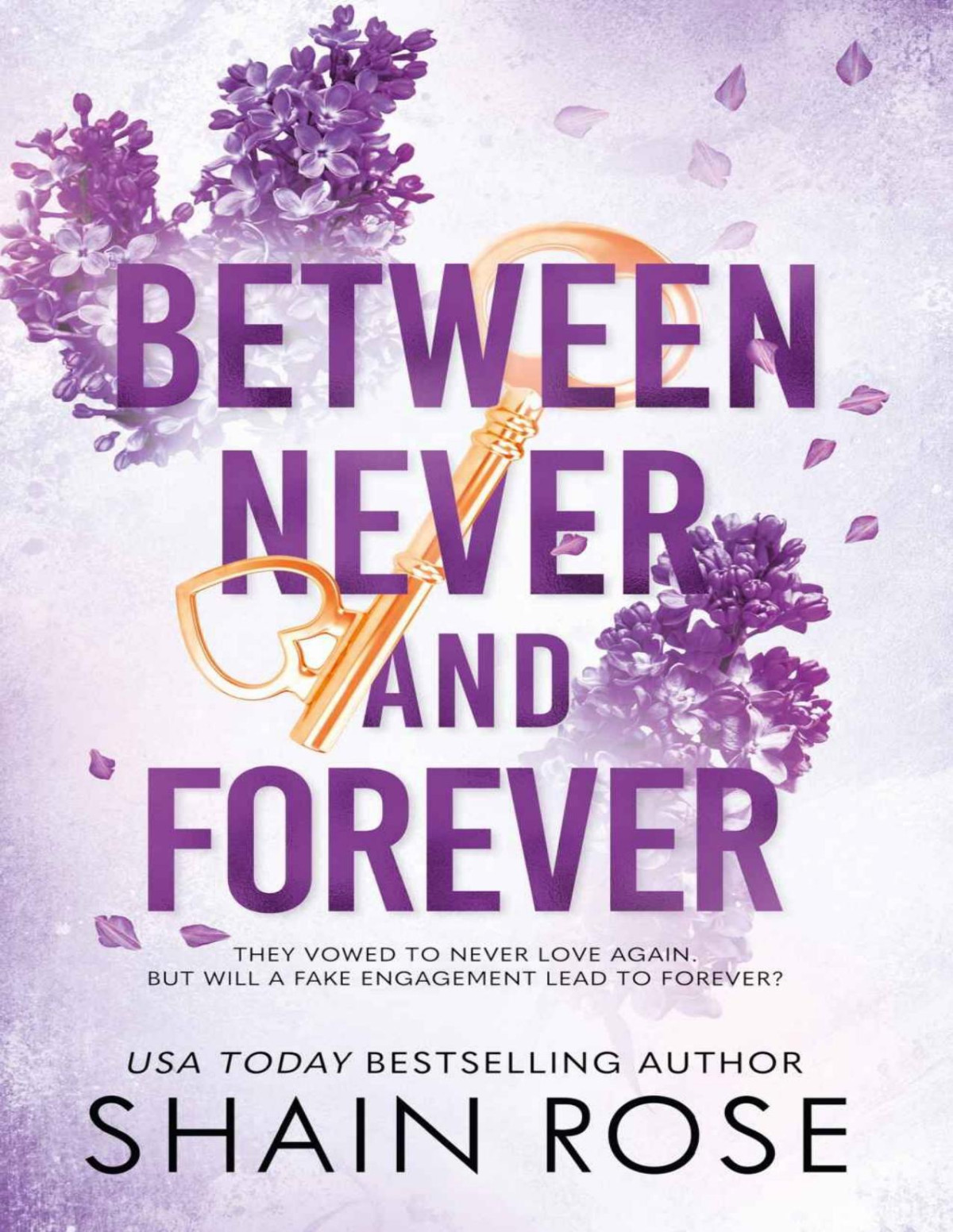 Between Never And Forever A Dark Romance From The Tiktok Sensation And 1 Bestselling Author Hardy Billionaires Series The Hardy Billionaires Series Shain Rose