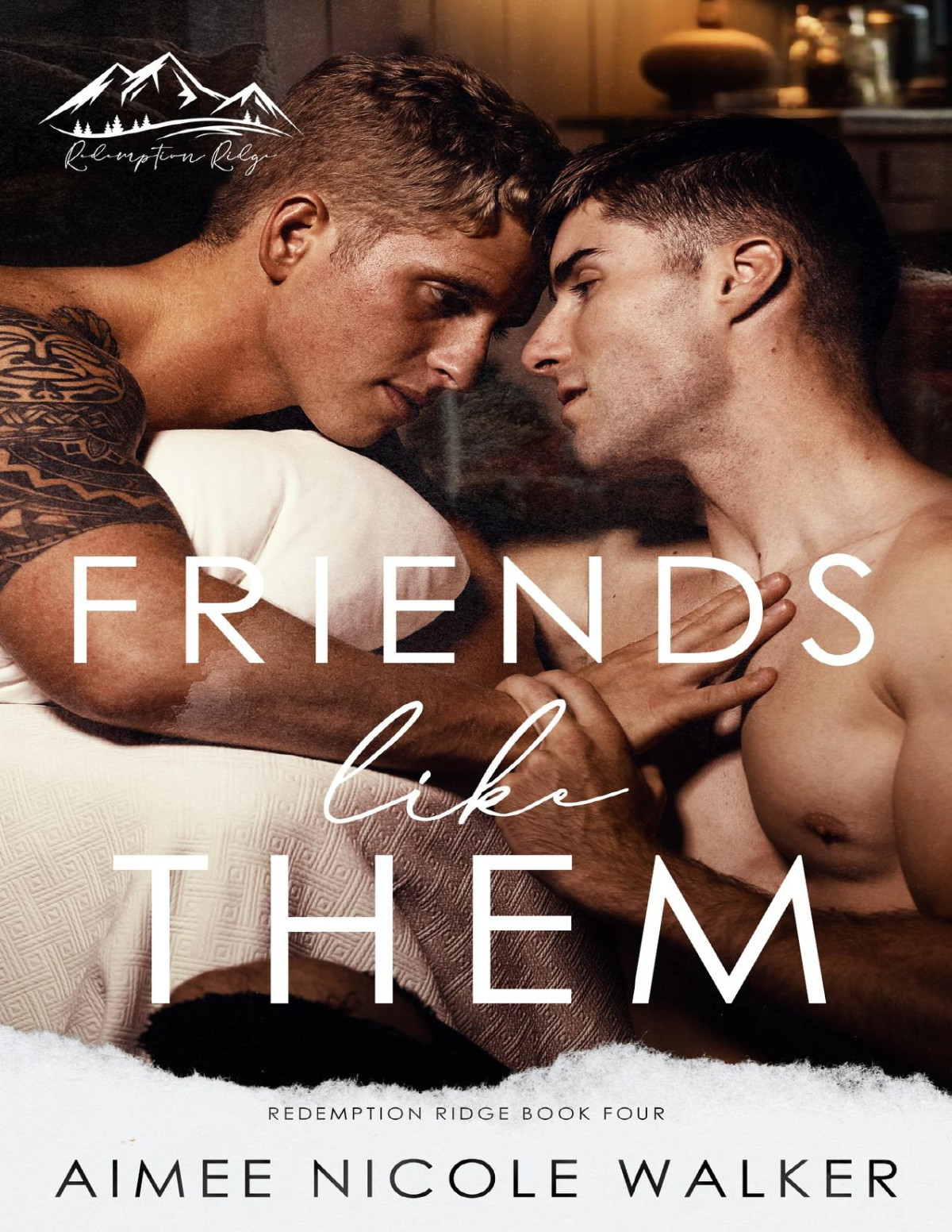 Friends Like Them Redemption Ridge Book Four Aimee Nicole Walker