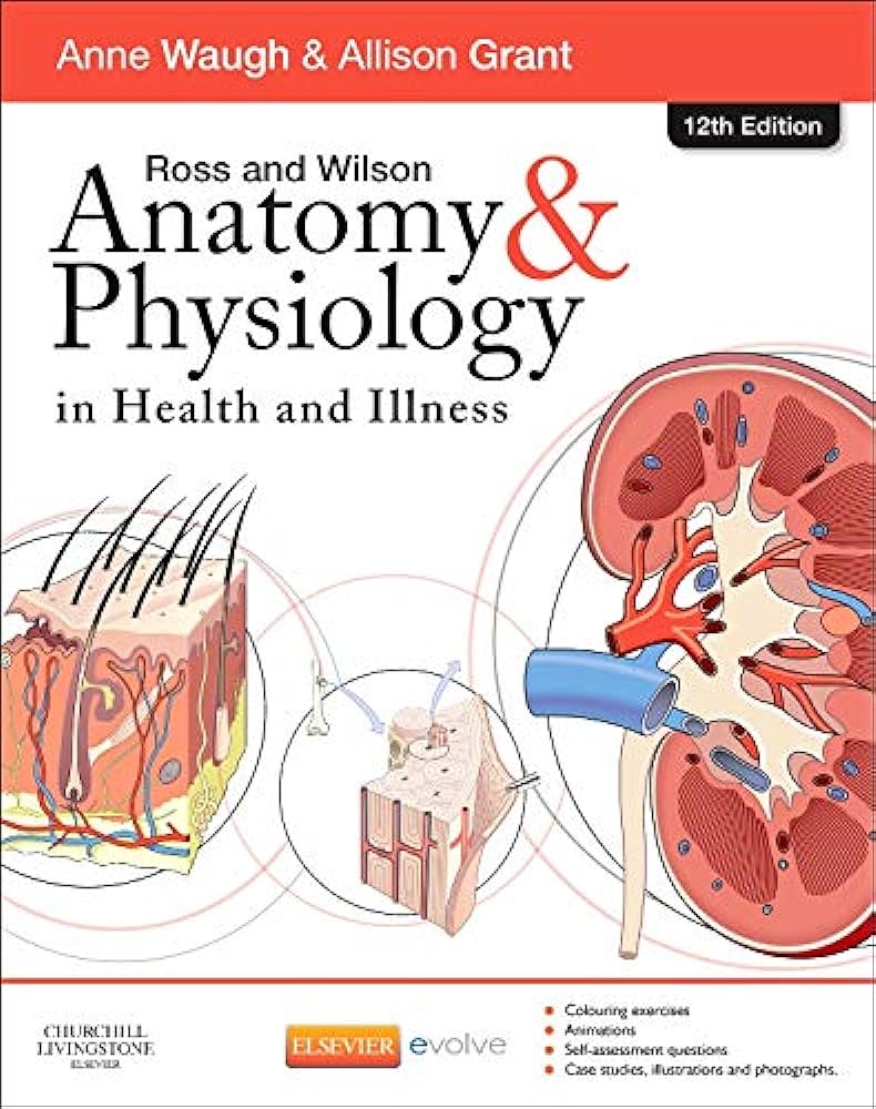 Ross And Wilson Anatomy Physiology In Health And Illness 12th Edition Waugh